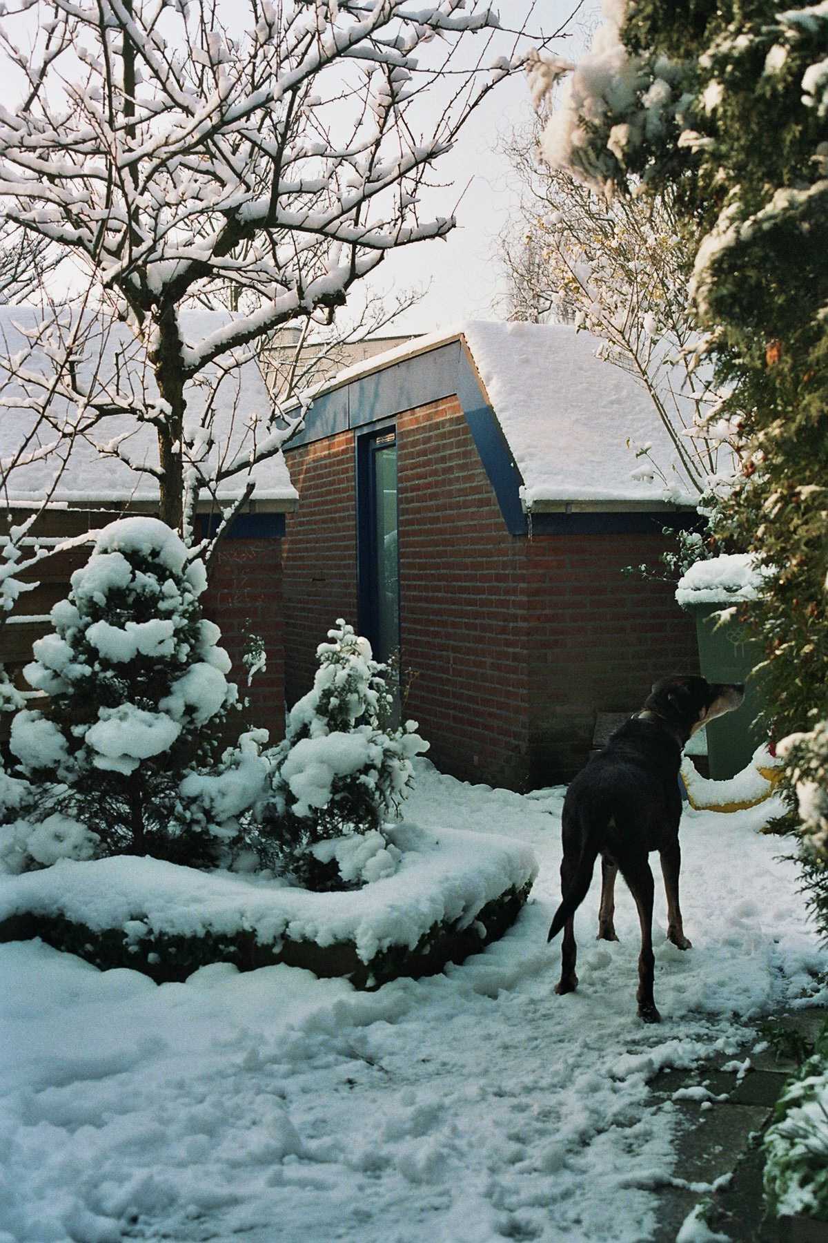 Argus feb 2005